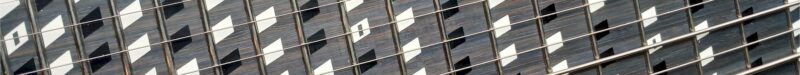 Abstract fretboard with black and white markers.